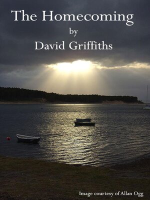 cover image of The Homecoming